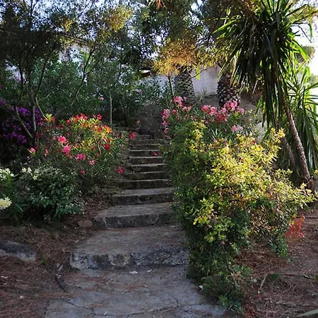 Gardelina Belvedere-Campomoro